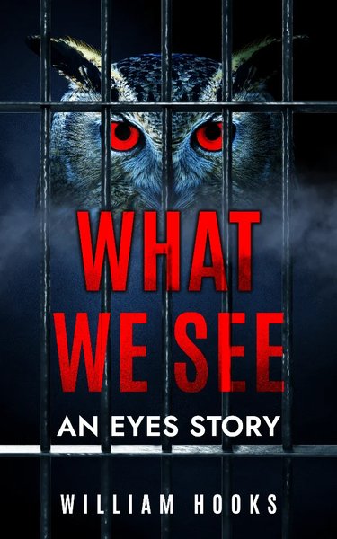What We See: An Eyes Story (Book One)